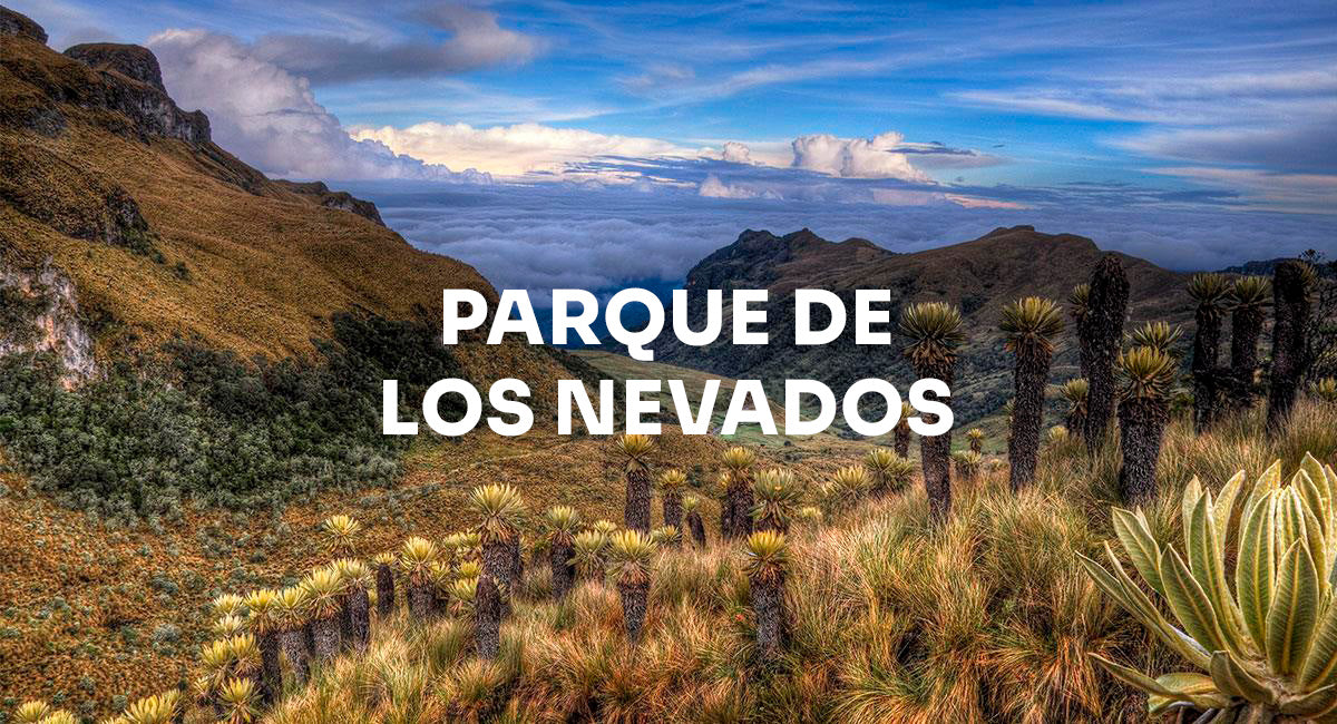 Parque de los nevados
